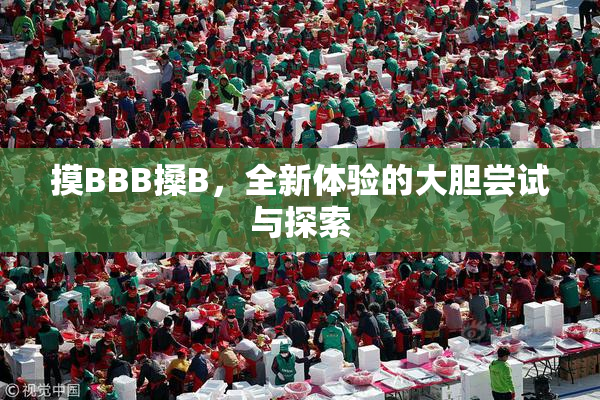 摸BBB搡B，全新体验的大胆尝试与探索