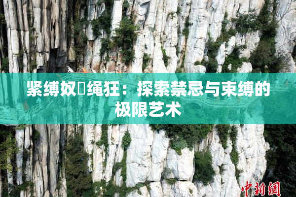 紧缚奴隷绳狂：探索禁忌与束缚的极限艺术
