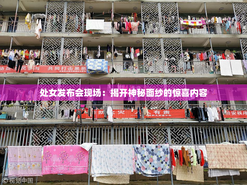 处女发布会现场：揭开神秘面纱的惊喜内容