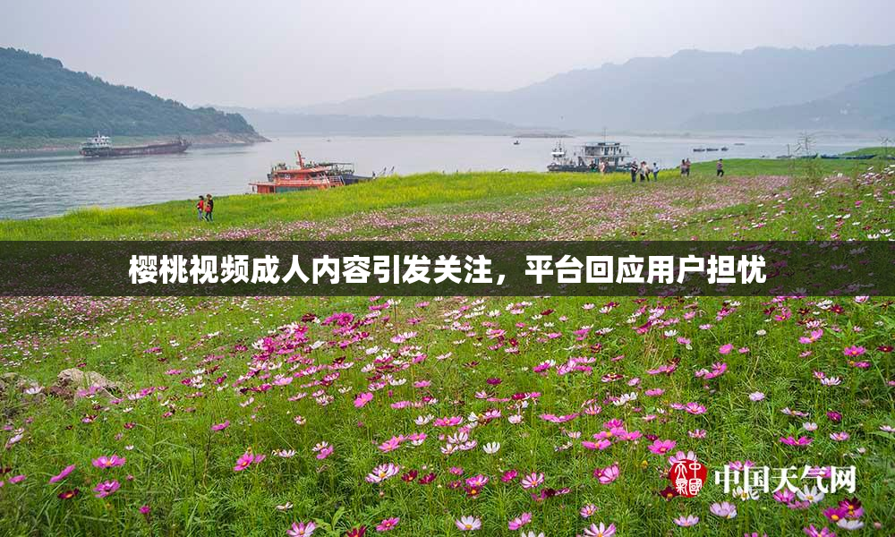 樱桃视频成人内容引发关注，平台回应用户担忧