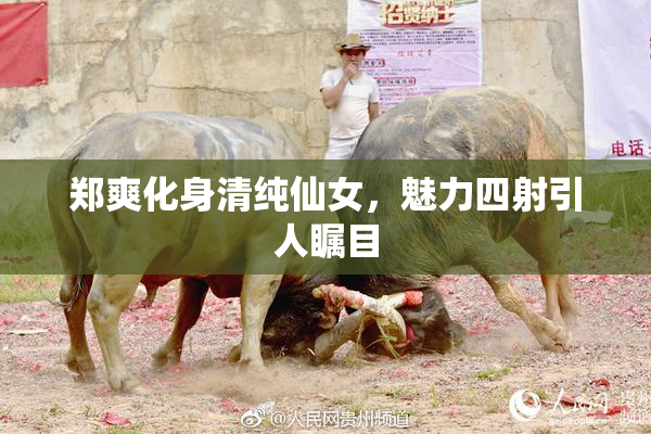 郑爽化身清纯仙女，魅力四射引人瞩目