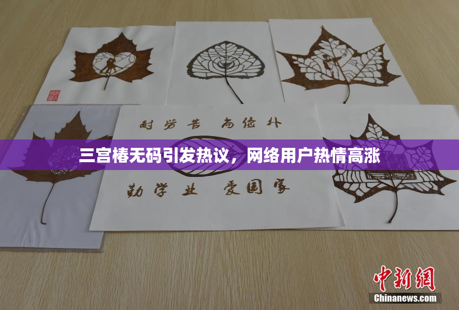 三宫椿无码引发热议，网络用户热情高涨