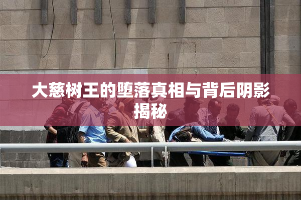 大慈树王的堕落真相与背后阴影揭秘