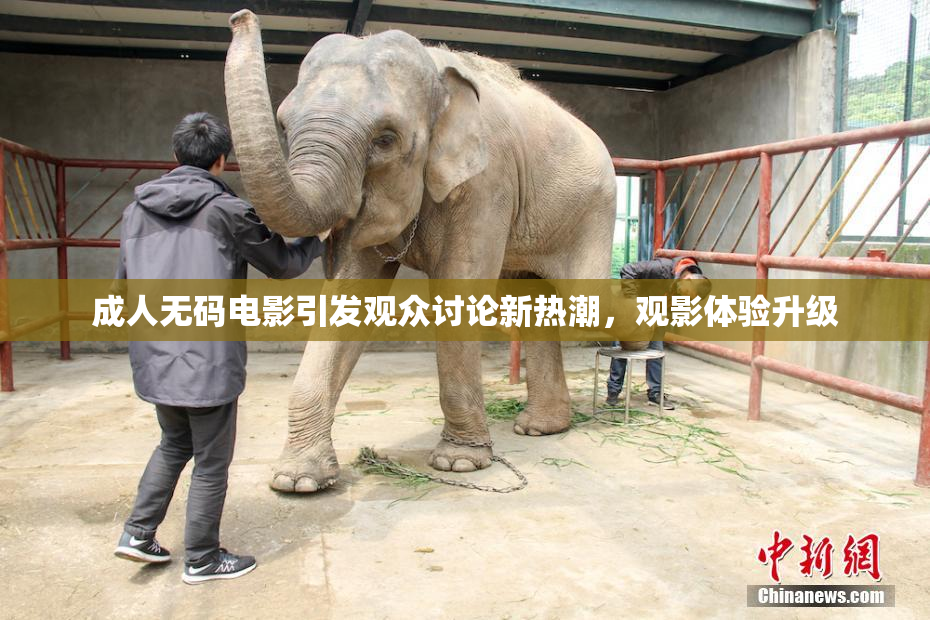成人无码电影引发观众讨论新热潮，观影体验升级