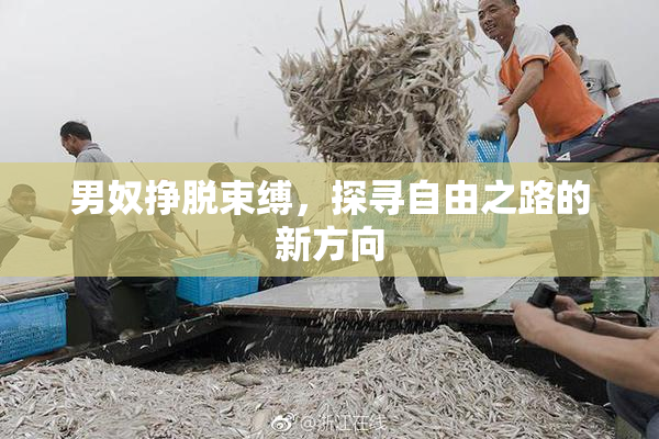 男奴挣脱束缚，探寻自由之路的新方向
