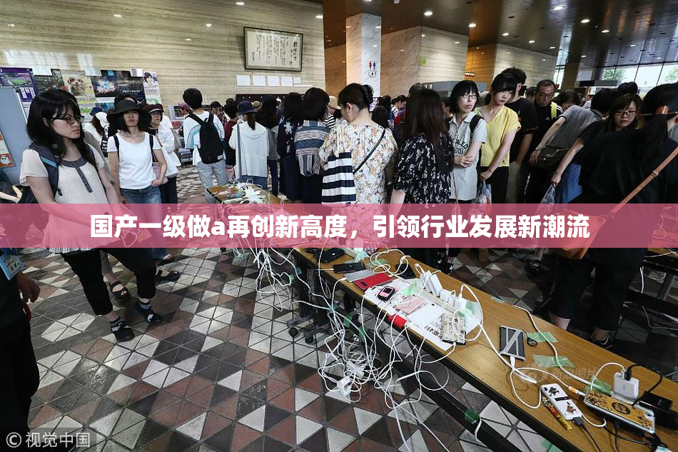 国产一级做a再创新高度，引领行业发展新潮流