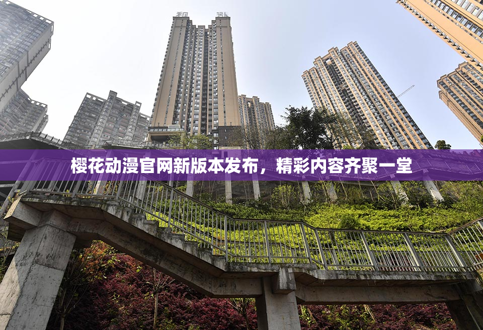 樱花动漫官网新版本发布，精彩内容齐聚一堂
