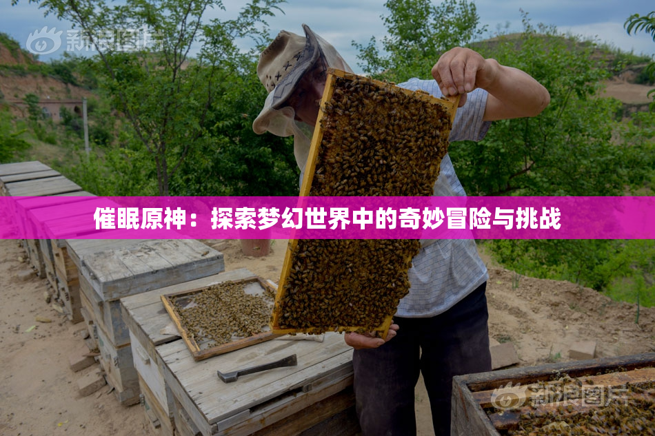 催眠原神：探索梦幻世界中的奇妙冒险与挑战