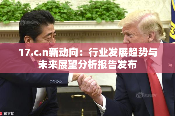 17.c.n新动向：行业发展趋势与未来展望分析报告发布
