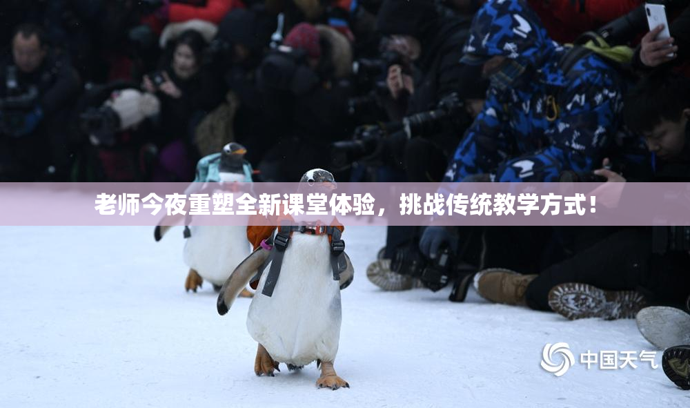 老师今夜重塑全新课堂体验，挑战传统教学方式！