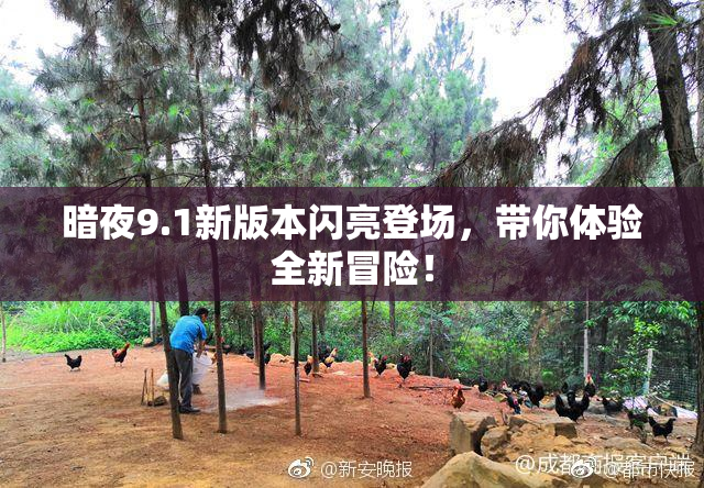 暗夜9.1新版本闪亮登场，带你体验全新冒险！