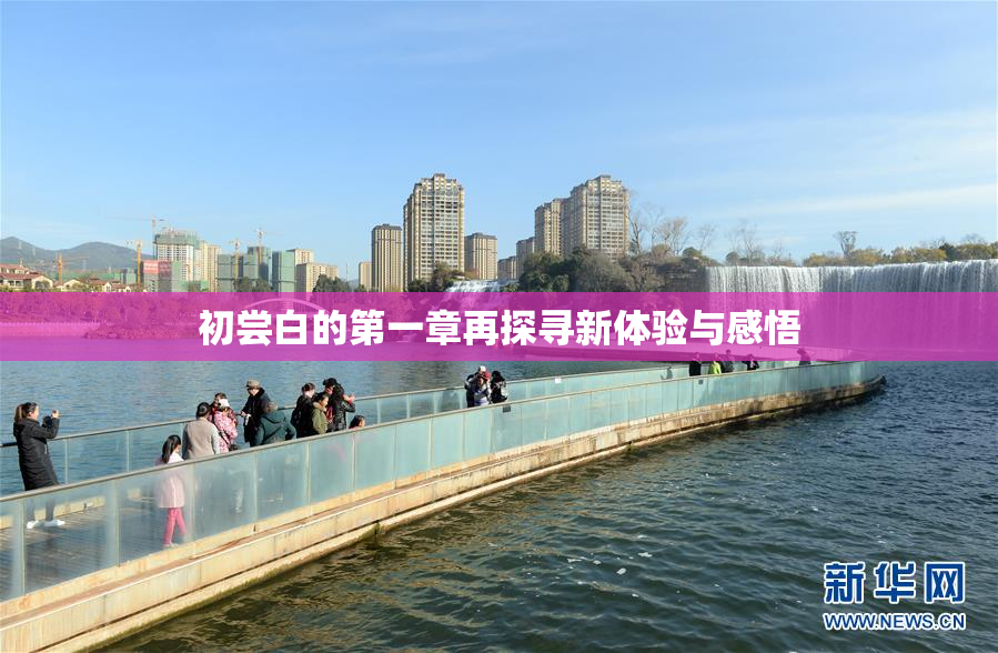 初尝白的第一章再探寻新体验与感悟