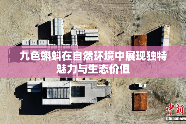 九色蝌蚪在自然环境中展现独特魅力与生态价值