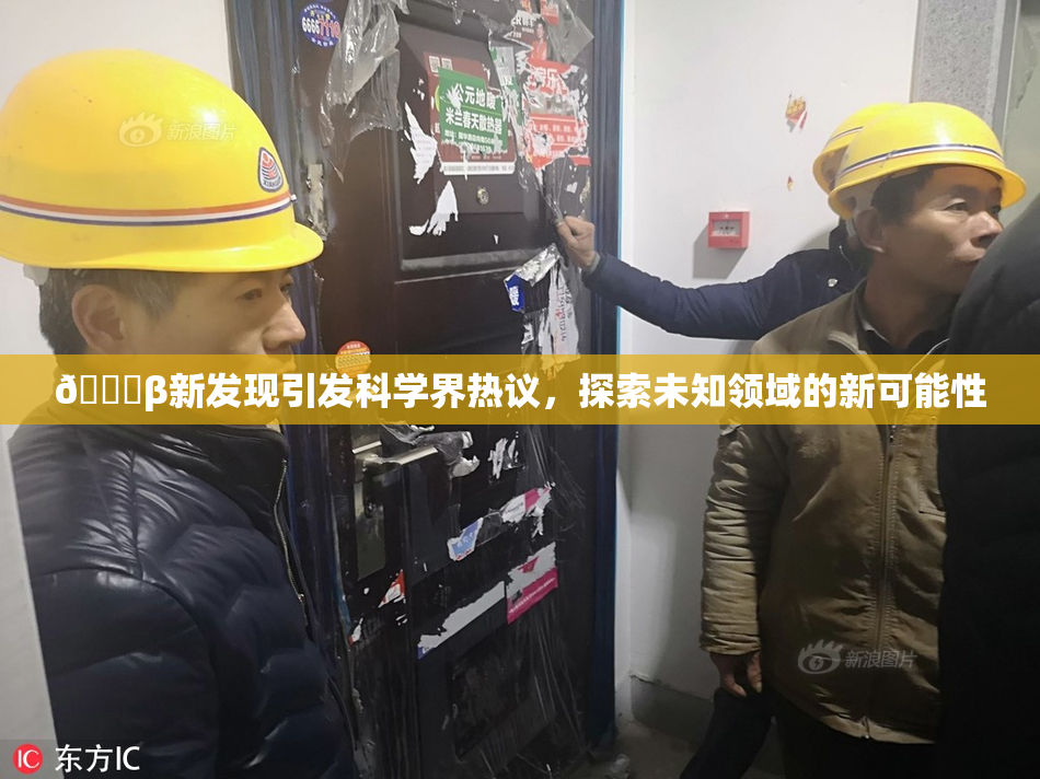 🔞β新发现引发科学界热议，探索未知领域的新可能性