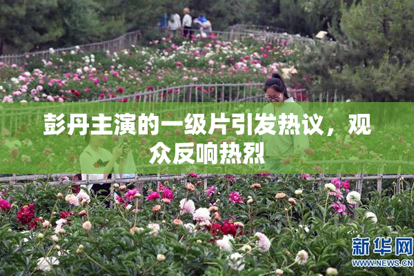 彭丹主演的一级片引发热议，观众反响热烈