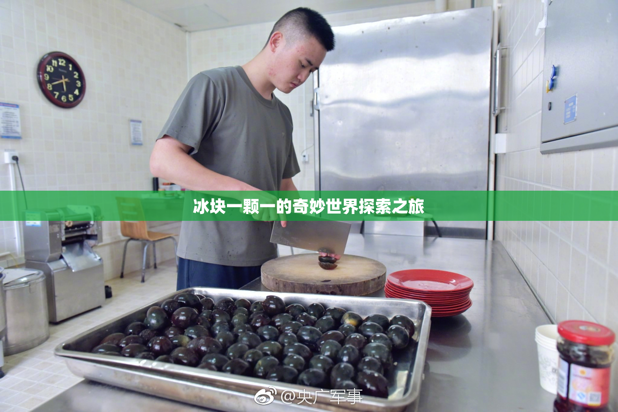 冰块一颗一的奇妙世界探索之旅