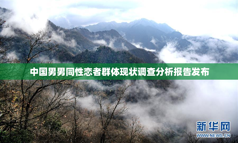 中国男男同性恋者群体现状调查分析报告发布