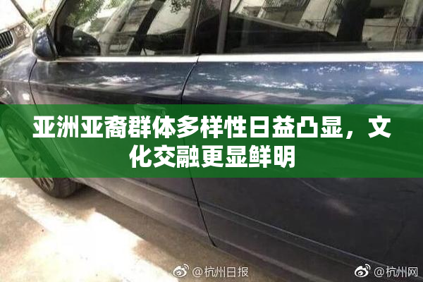 亚洲亚裔群体多样性日益凸显，文化交融更显鲜明