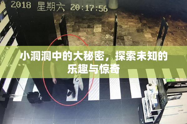 小洞洞中的大秘密，探索未知的乐趣与惊奇