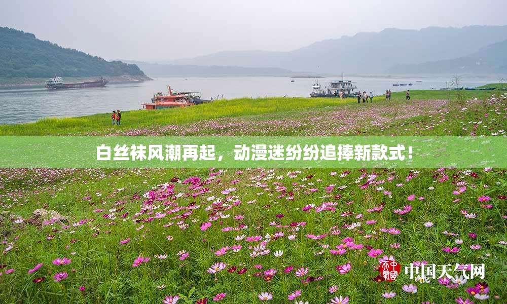 白丝袜风潮再起，动漫迷纷纷追捧新款式！
