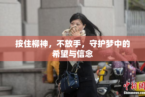 按住柳神，不放手，守护梦中的希望与信念