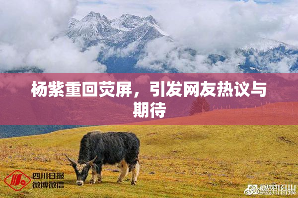杨紫重回荧屏，引发网友热议与期待