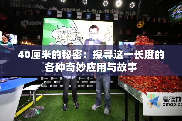 40厘米的秘密：探寻这一长度的各种奇妙应用与故事