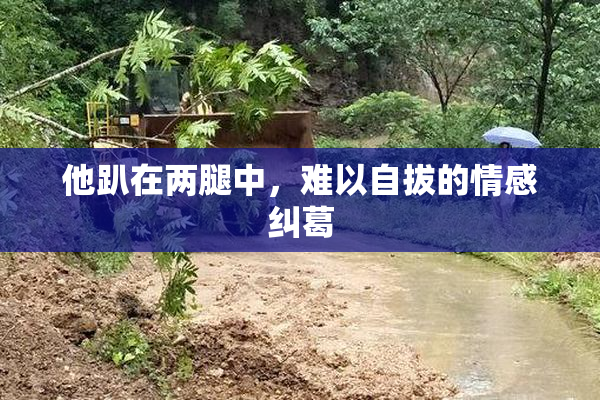 他趴在两腿中，难以自拔的情感纠葛