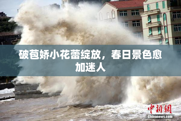 破苞娇小花蕾绽放，春日景色愈加迷人
