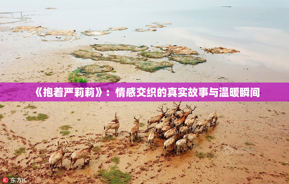 《抱着严莉莉》：情感交织的真实故事与温暖瞬间