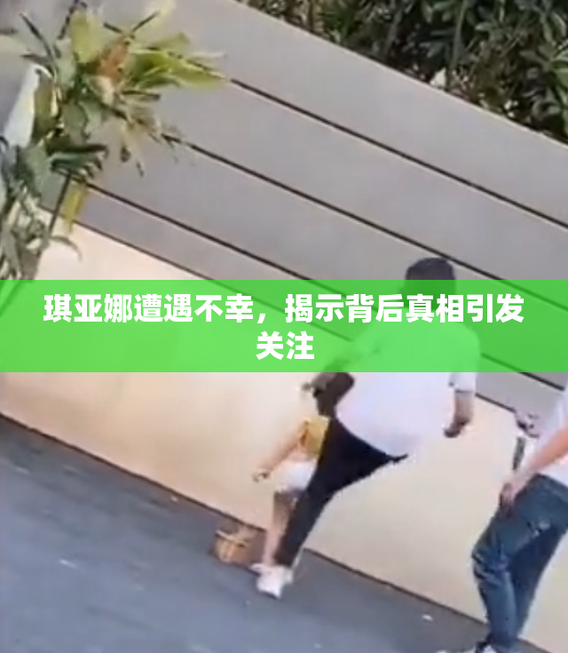 琪亚娜遭遇不幸，揭示背后真相引发关注