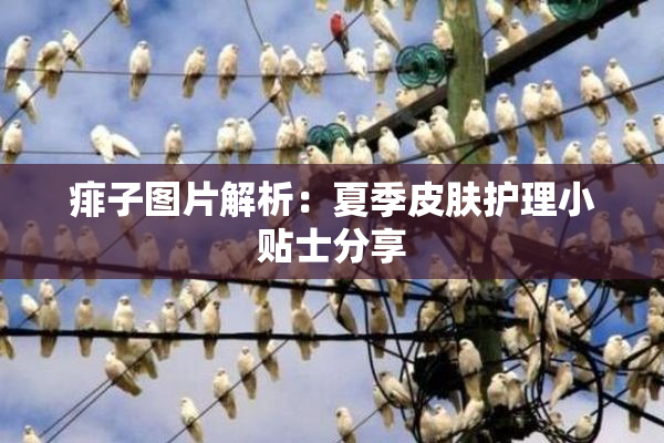 痱子图片解析：夏季皮肤护理小贴士分享
