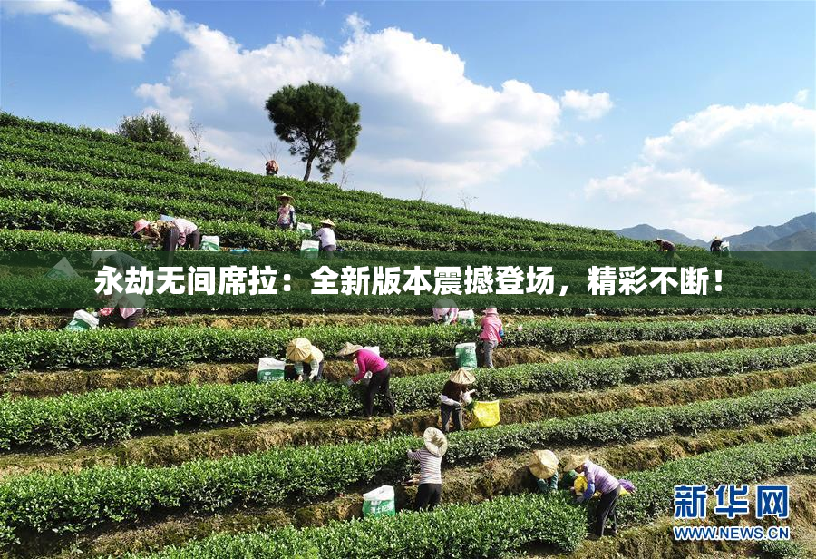 永劫无间席拉：全新版本震撼登场，精彩不断！