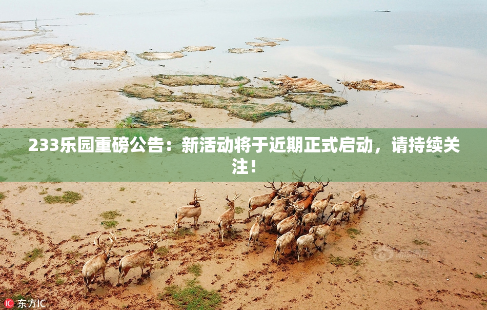 233乐园重磅公告：新活动将于近期正式启动，请持续关注！