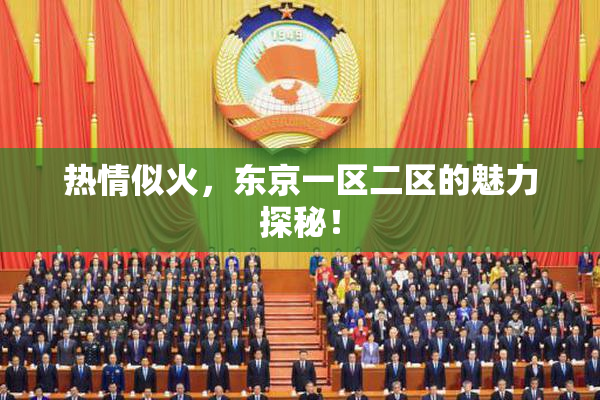 热情似火，东京一区二区的魅力探秘！