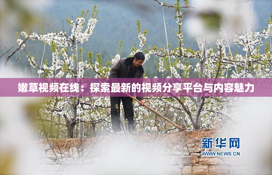 嫩草视频在线：探索最新的视频分享平台与内容魅力