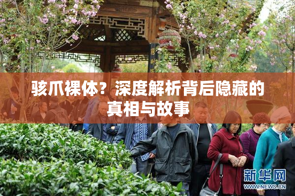 骇爪裸体？深度解析背后隐藏的真相与故事