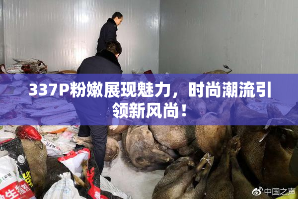 337P粉嫩展现魅力，时尚潮流引领新风尚！