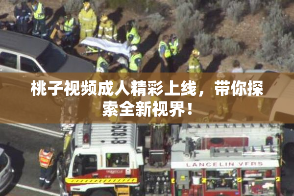 桃子视频成人精彩上线，带你探索全新视界！