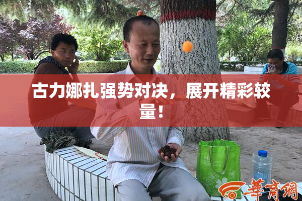 古力娜扎强势对决，展开精彩较量！