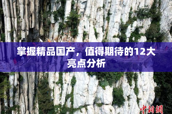 掌握精品国产，值得期待的12大亮点分析