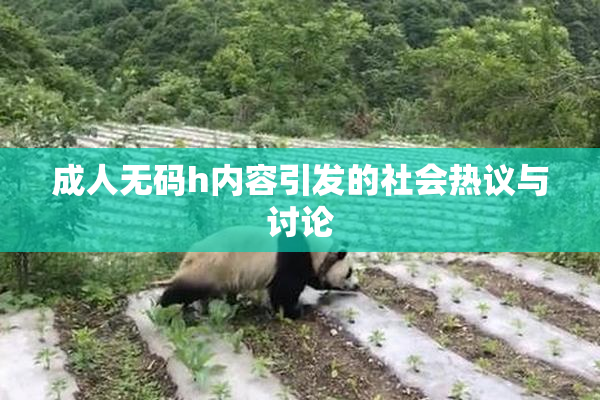 成人无码h内容引发的社会热议与讨论
