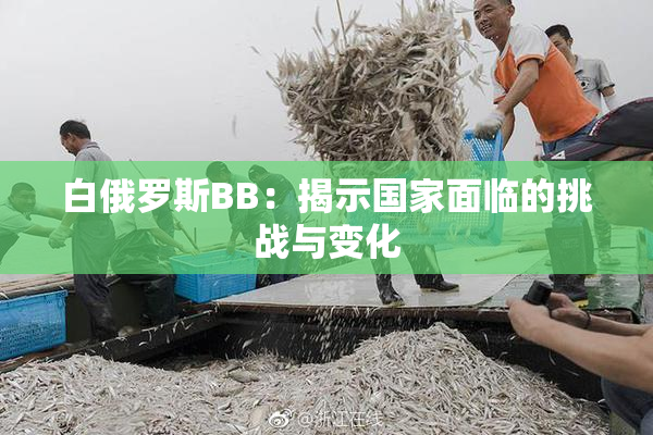 白俄罗斯BB：揭示国家面临的挑战与变化