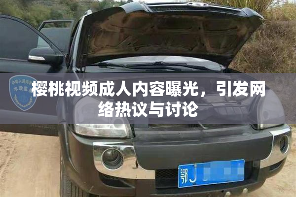 樱桃视频成人内容曝光，引发网络热议与讨论