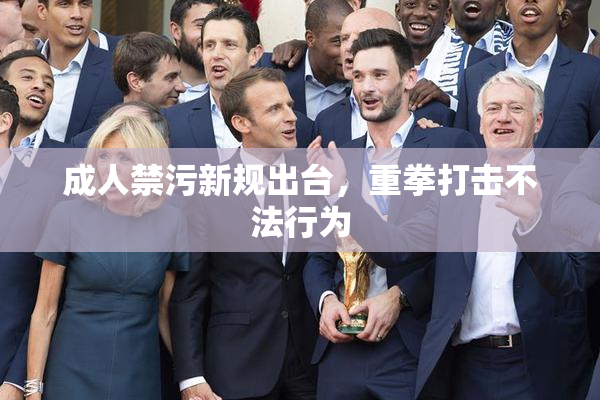 成人禁污新规出台，重拳打击不法行为