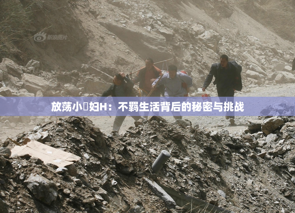 放荡小婬妇H：不羁生活背后的秘密与挑战