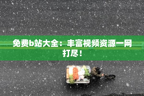 免费b站大全：丰富视频资源一网打尽！
