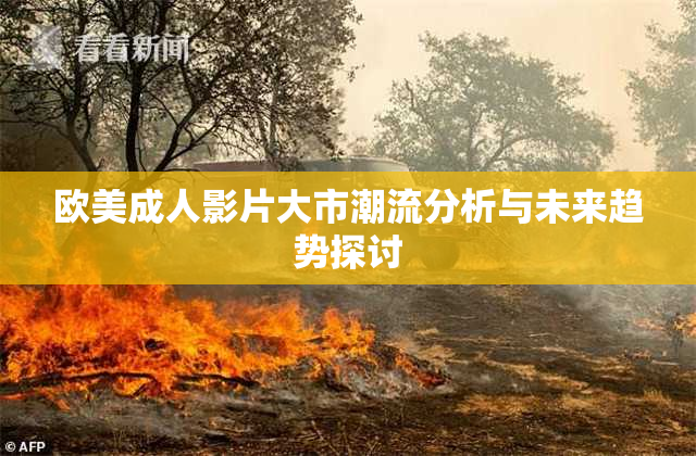 欧美成人影片大市潮流分析与未来趋势探讨