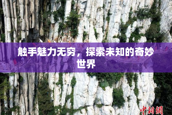 触手魅力无穷，探索未知的奇妙世界