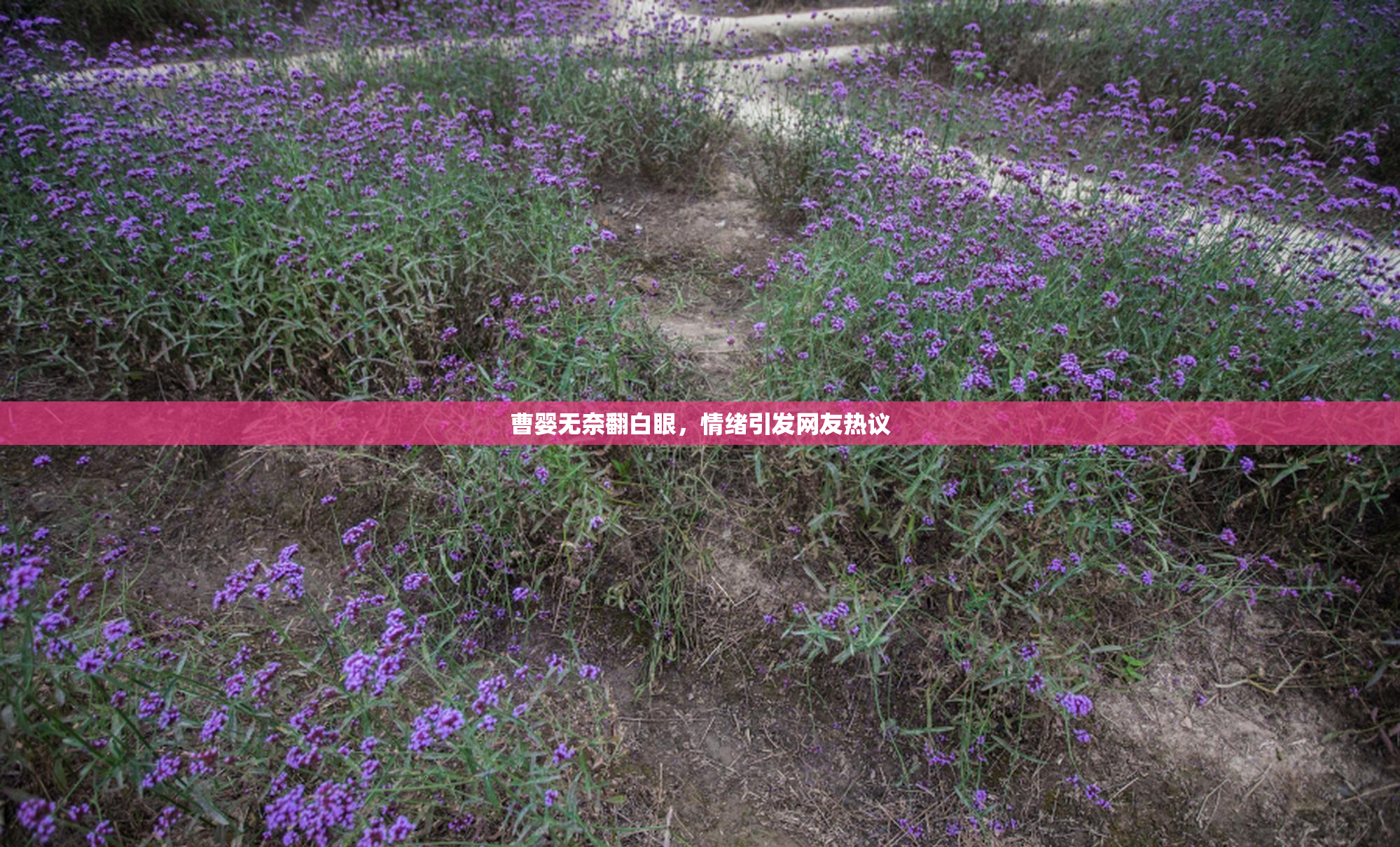 曹婴无奈翻白眼，情绪引发网友热议